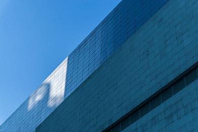 蟋蟀主题收集养成游戏《沉默的蟋蟀》上架Steam